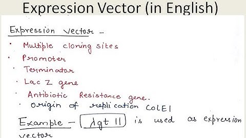 Expression Vector  (in English ) | For B.Sc. and M.Sc.