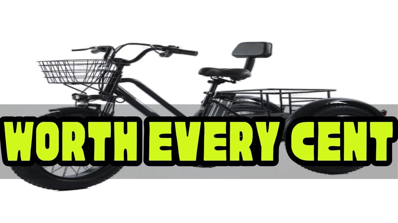 Three Wheeled Electric Cargo Bicycle for Men 20 Inch Fat Tire Strong Double Beam 500W 48V Snow Moun