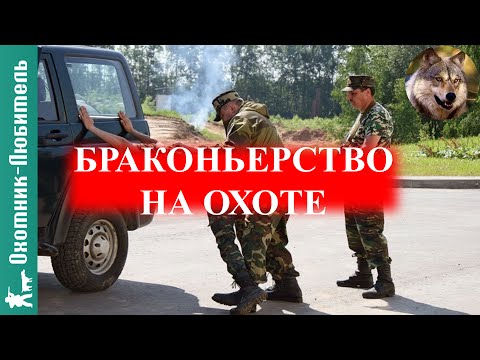 Браконьерство на охоте!