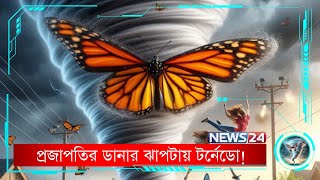 অ্যামাজনের প্রজাপতির ডানা ঝাপটানোতে কেন টর্নেডো হয় আমেরিকায়? | The Butterfly Effect | News24