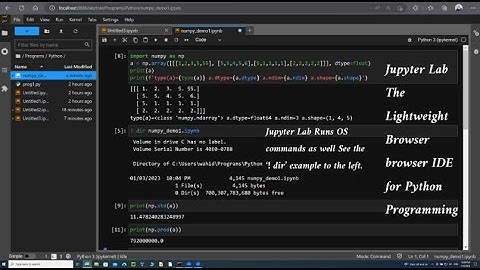 Python PIP Install Jupyterlab, Start, and Use the IDE to Demo on NumPy Module and Windows OS