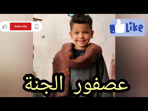 جرار زراعي ينهي حياة حمزة احمد حمدي أمام منزله بمركز طهطا 