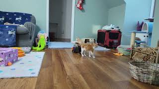 Magnolias2023: Shelby's got no fear