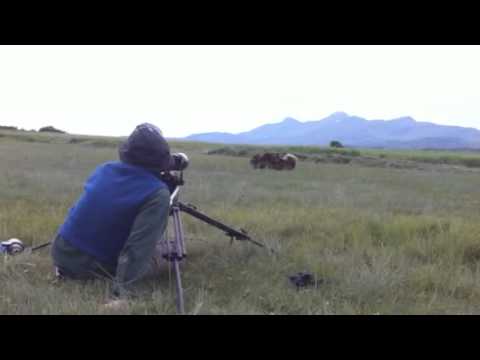 Whittier, Katmai