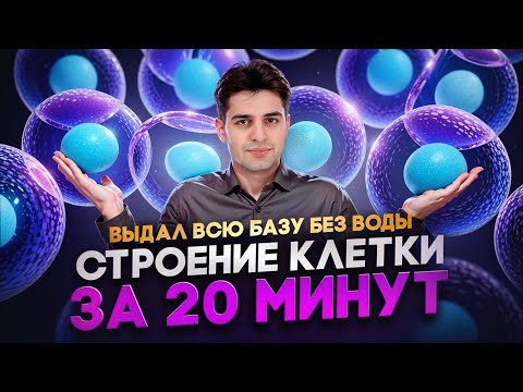 Строение клетки за