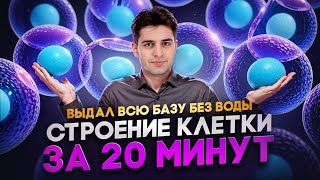 Строение клетки за 20 минут! Все что нужно знать! ВЫДАЛ всю базу