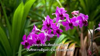 ครูในดวงใจ : อรวี สัจจานนท์