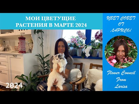 ЦВЕТУЩИЕ РАСТЕНИЕ В МАРТЕ 2024