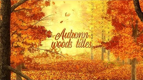 Videohive Autumn Woods Titles Free Download