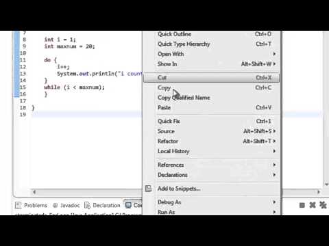 Java Tutorial 5: While and Do While Loop