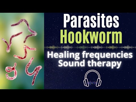 Parasites hookworm ★