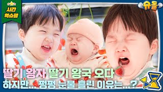 Kim Eunwoo is a strawberry [KBS│The Return Of Superman]