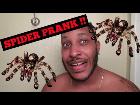 spider-prank-on-boyfriend!!!