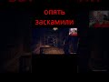 опять заскамили