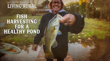 Fish Harvesting for a Healthy Pond | Living Rural: Pond Management | YouTube