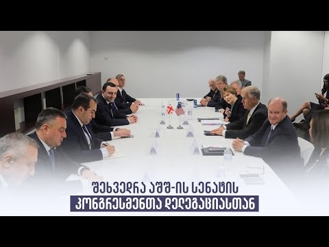 შეხვედრა აშშ-ის სენატის კონგრესმენთა დელეგაციასთან