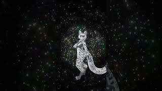 Intergalactic Snow Leopard Photoshoot