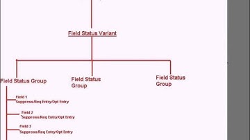 SAP Define Field Status Variant And Field Status Group