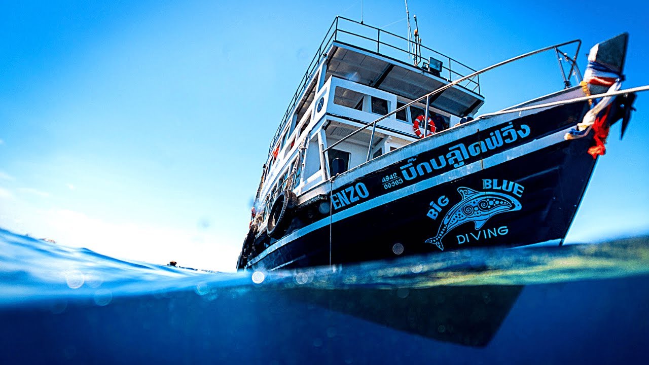 BIG BLUE DIVING เนื้อหาbig blue diving resort koh taoล่าสุด