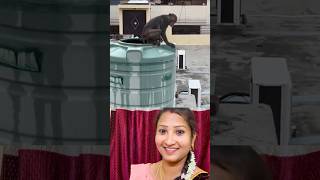 Syntex Tank 😳😳Alapparai 🤣 #salemponnusaranya #shortsviral #viralshorts #subscribe