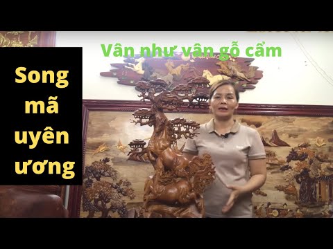 Video Song mã uyên ương - Tượng Ngựa gỗ hương ta Vân VIP (đồ... - youtube