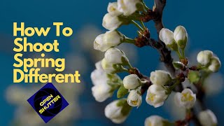 Open Shutter Live - How to Shoot Spring Photography...Different:) screenshot 4