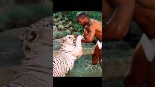 Mike Tyson rare pics with his tiger | The iron mike | Mike Tyson boxer | The Eagle fitness . shorts#