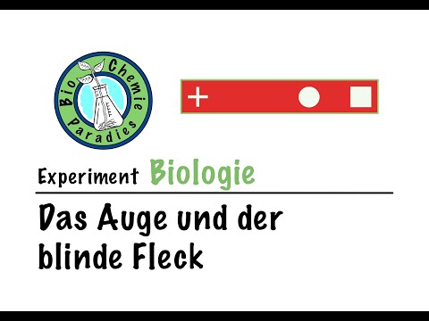 Experiment Biologie – Das Auge und der blinde Fleck