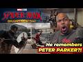 Spider-Man: Brand New Day - Post Credit Scene Cap &amp; Hulk Rumor - Reaction!