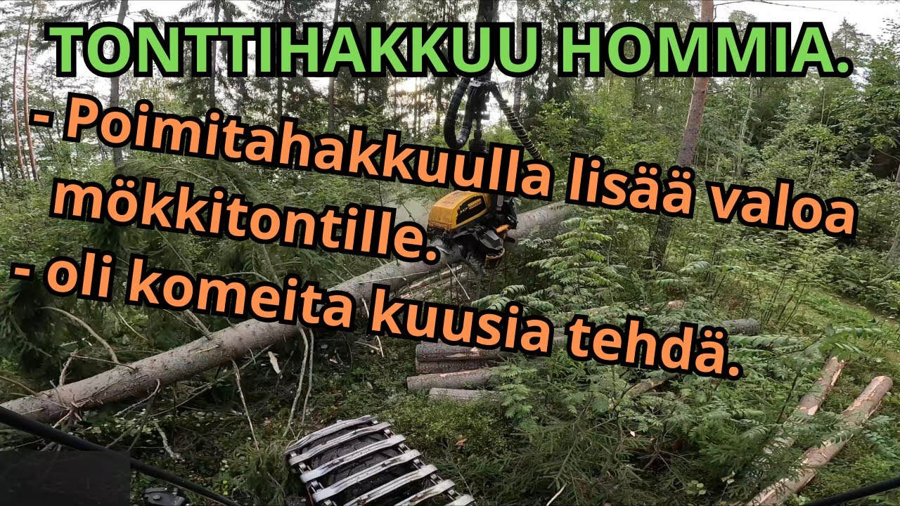 Poimintahakkuuta jotta saataisiin mökkitontille valoa lisää. Ponsse Scorpion K H7 AC FC