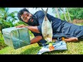 Bucket Fish Making |ബക്കറ്റിൽ ചുട്ടെടുത്ത മീൻ |M4 TECH |