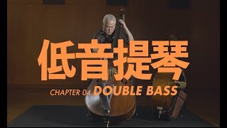 低音提琴介紹Double Bass 