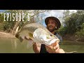 WILD BARRAMUNDI Catch and Cook, Dragging the tinny over sand flats, Episode 6, Day 5 is a TOUGH day!