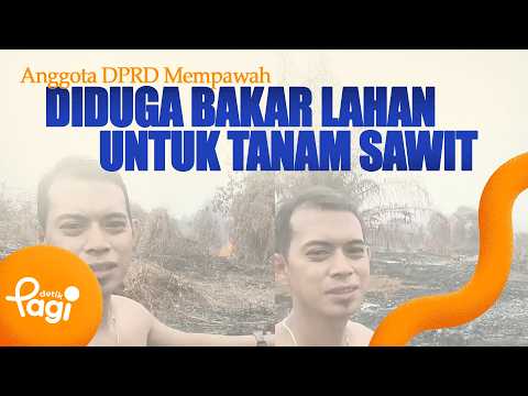 [detikPagi] - Mempawah Regional House of Representatives Member Allegedly Cleared Land by Burning...