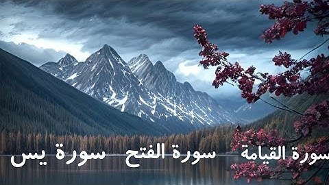 سورة القيامة سورة الفتح سورة يس
