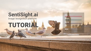 SentiSight.ai labeling by image similarity tutorial