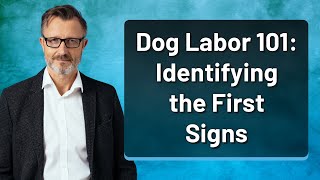 Dog Labor 101: Identifying the First Signs