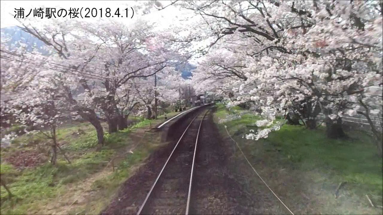 浦ノ崎駅と桜のトンネル トップページ