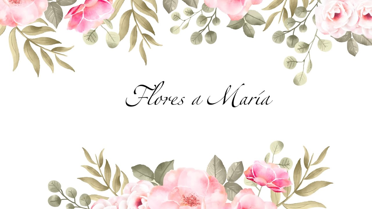 download hotel flor de maria download hotel flor de maria