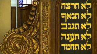 SFJFF Presents: SCHLIMAZELTOV!