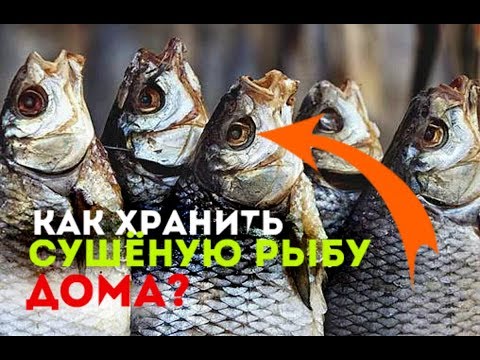 Как хранить соленую в домашних условиях рыбу