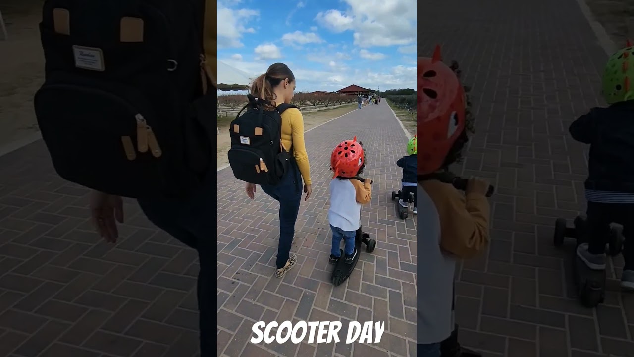 Farm scooter adventures: An ultimate guide for thrill-seekers 🛴