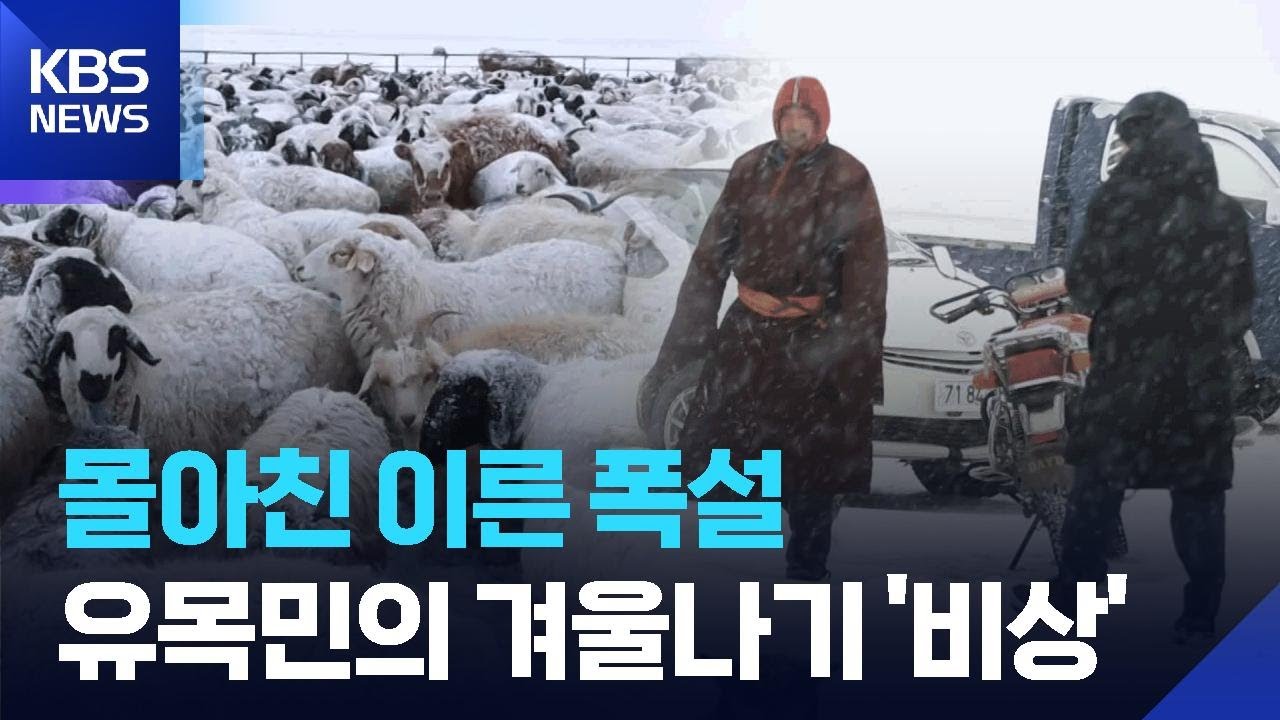 [글로벌K] 몰아친 폭설…몽골 유목민의 겨울나기 비상 / KBS  2025.11.13.