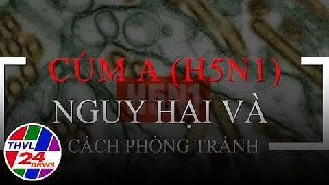 Cúm A (H5N1) - Nguy hại và cách phòng tránh