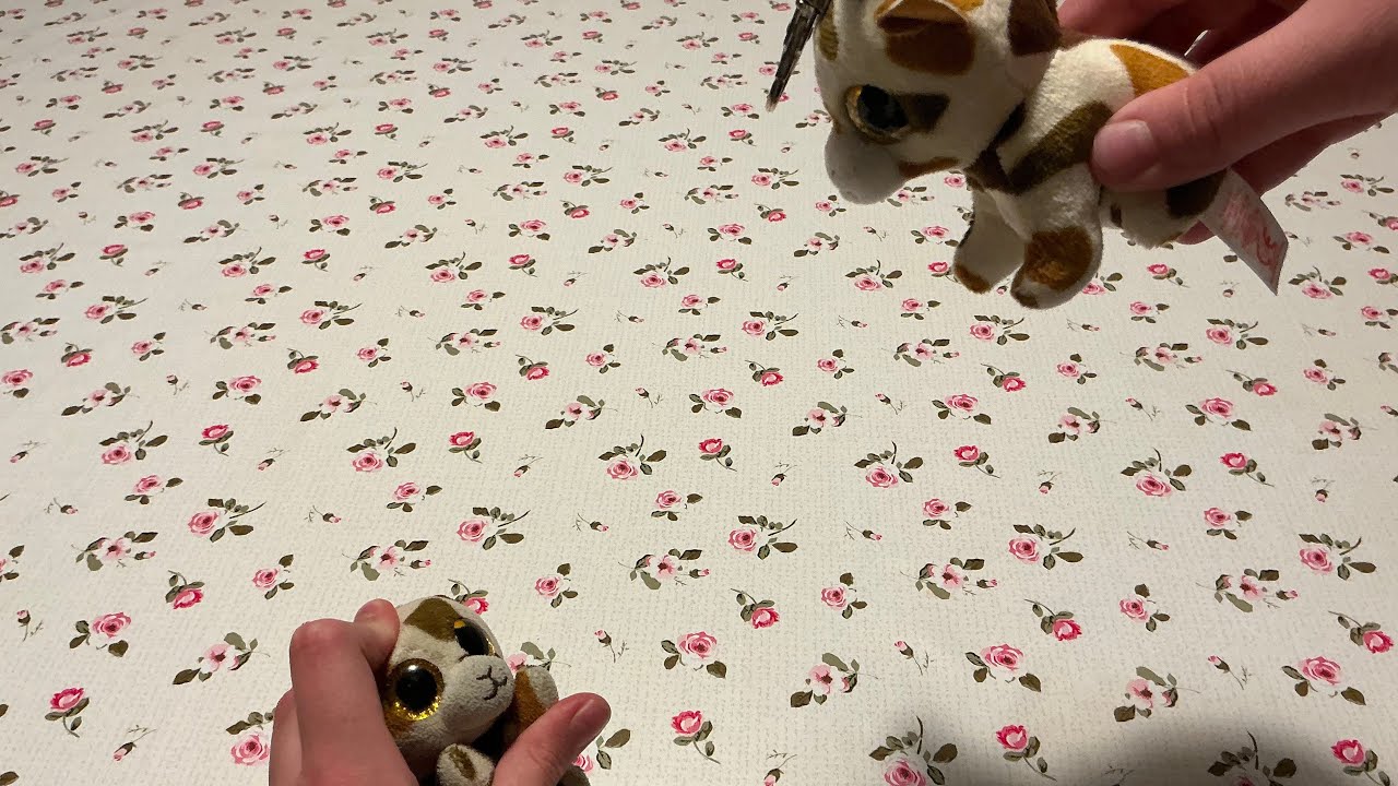 Ginger’s condition 🤯