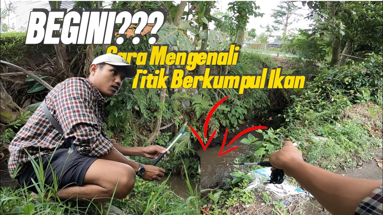 MARI KENALI TITIK-TITIK POTENSIAL IKAN💥