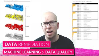 AIA BCC '21 - Nathan Miller - Data Remediation - Machine Learning and Data Quality