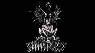 Skinny Puppy — Inquisition (Unreleased Instrumental Demo 1992)