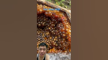 Mật Ong Thượng Hạng Mật Ong Dú