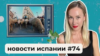 "Коррупционное правительство останется надолго",  - вице-президент испанского правительства